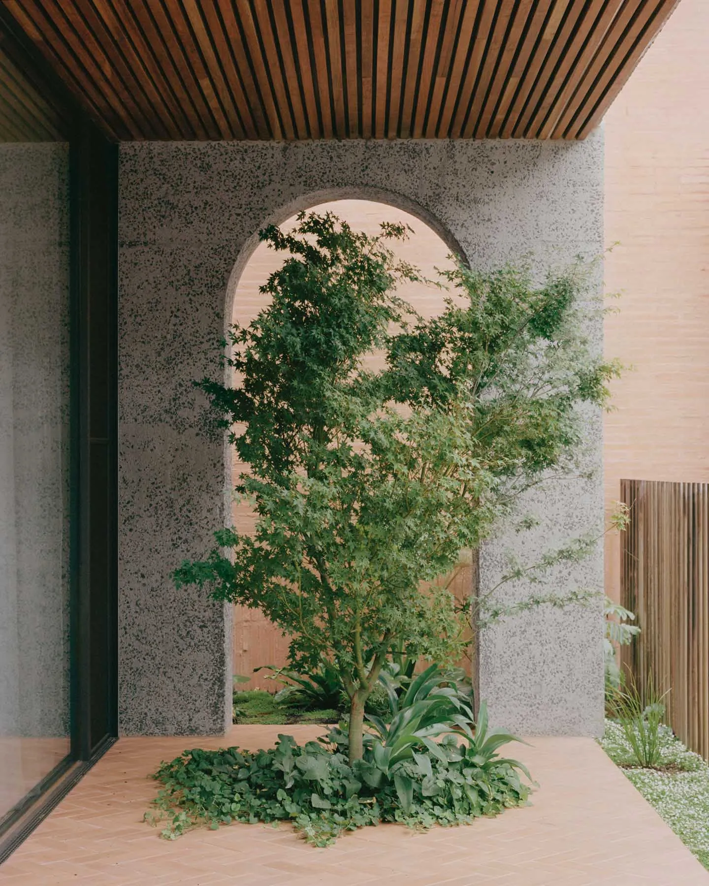Concrete entrance with wooden frame and tree
