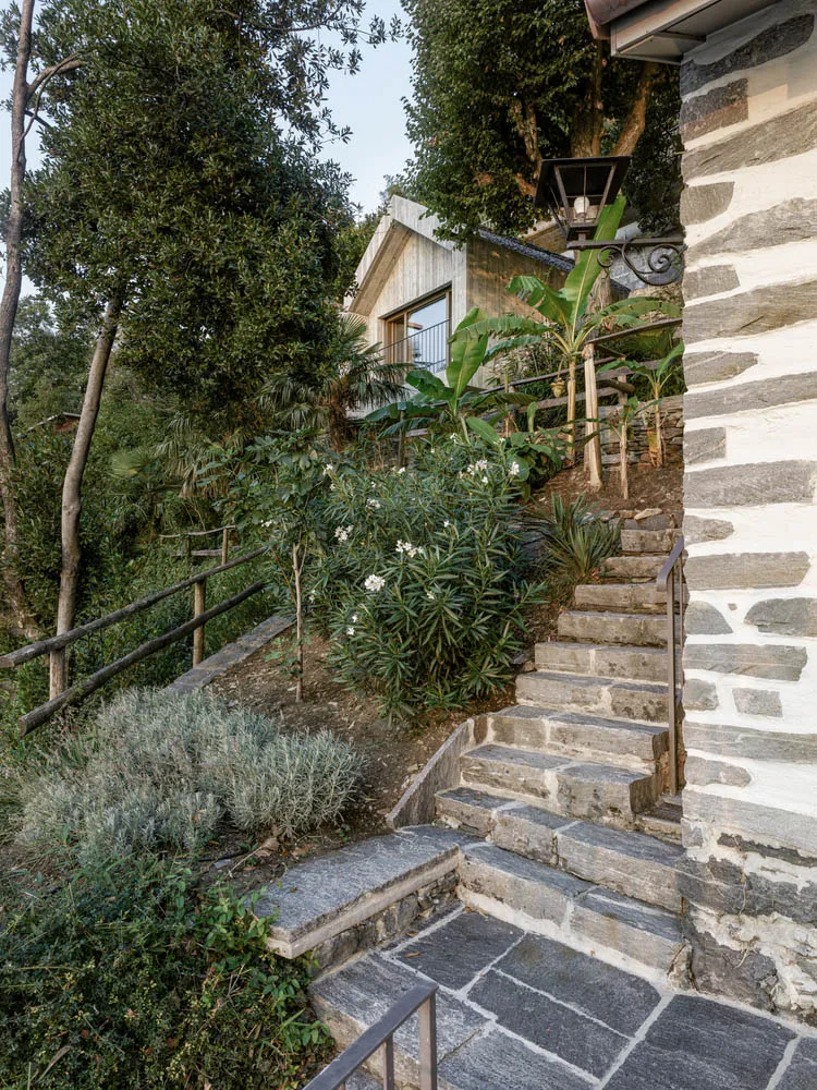 Staircase leading up a hill, featuring stone steps surrounded by green plants.