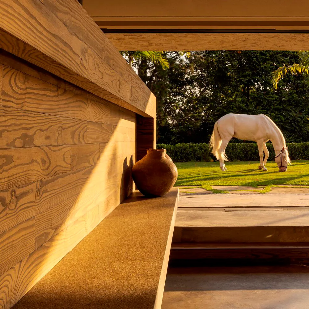 A white horse grazing on a lush green lawn surrounded by a wooden wall and steps.