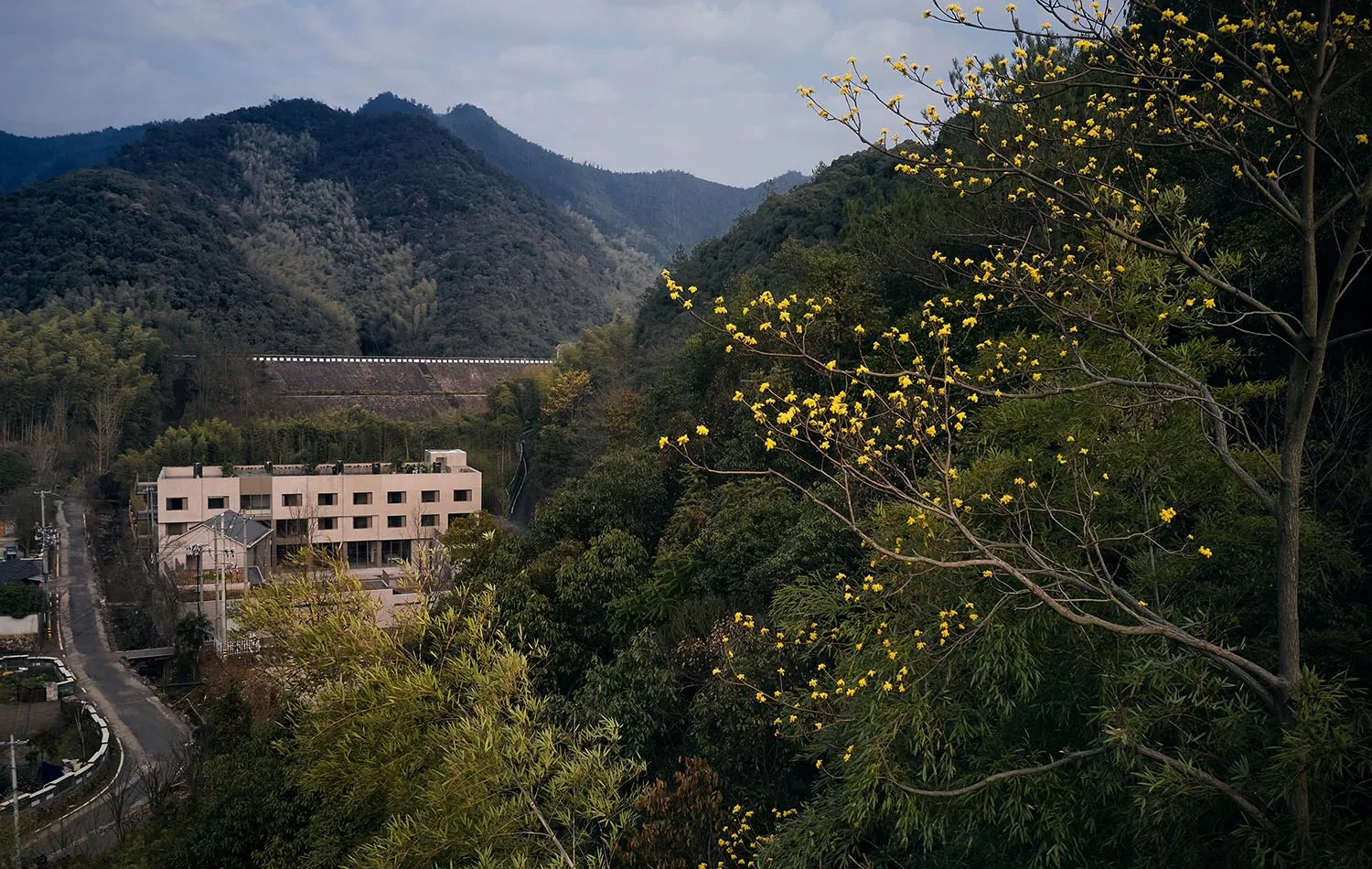 A residence nestled amidst trees with yellow flowers and mountains in the background.