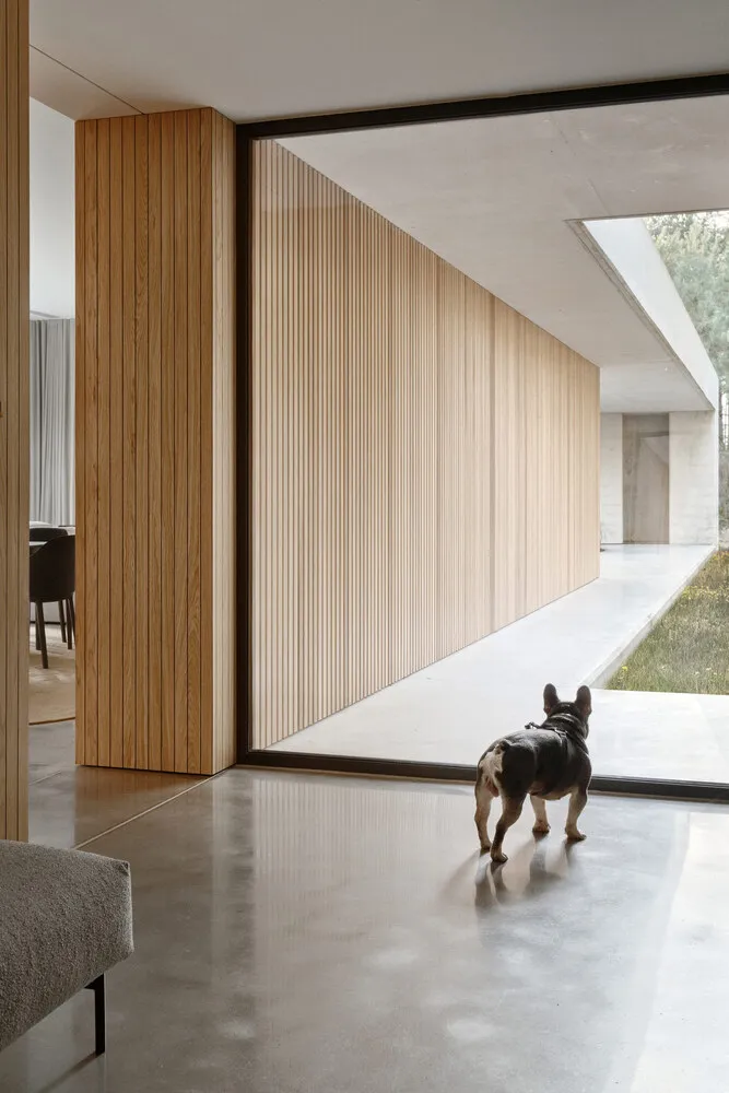 A dog walks on polished concrete floors inside a modern residential interior with wooden walls.