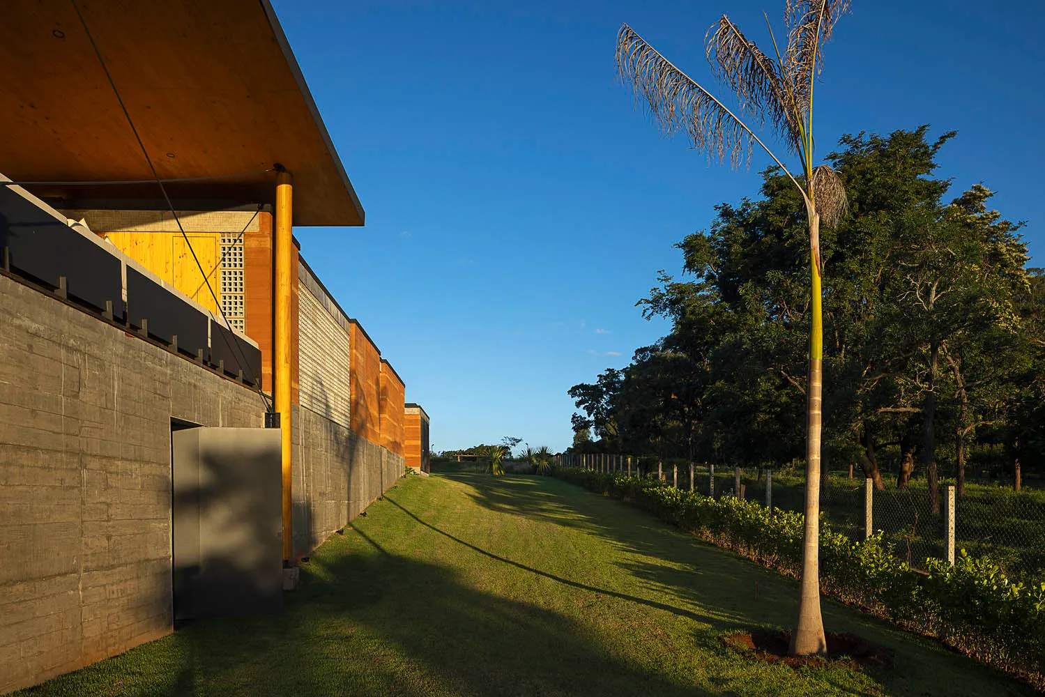 A modern house with wooden and concrete exterior materials, featuring a sloped roof and palm tree.