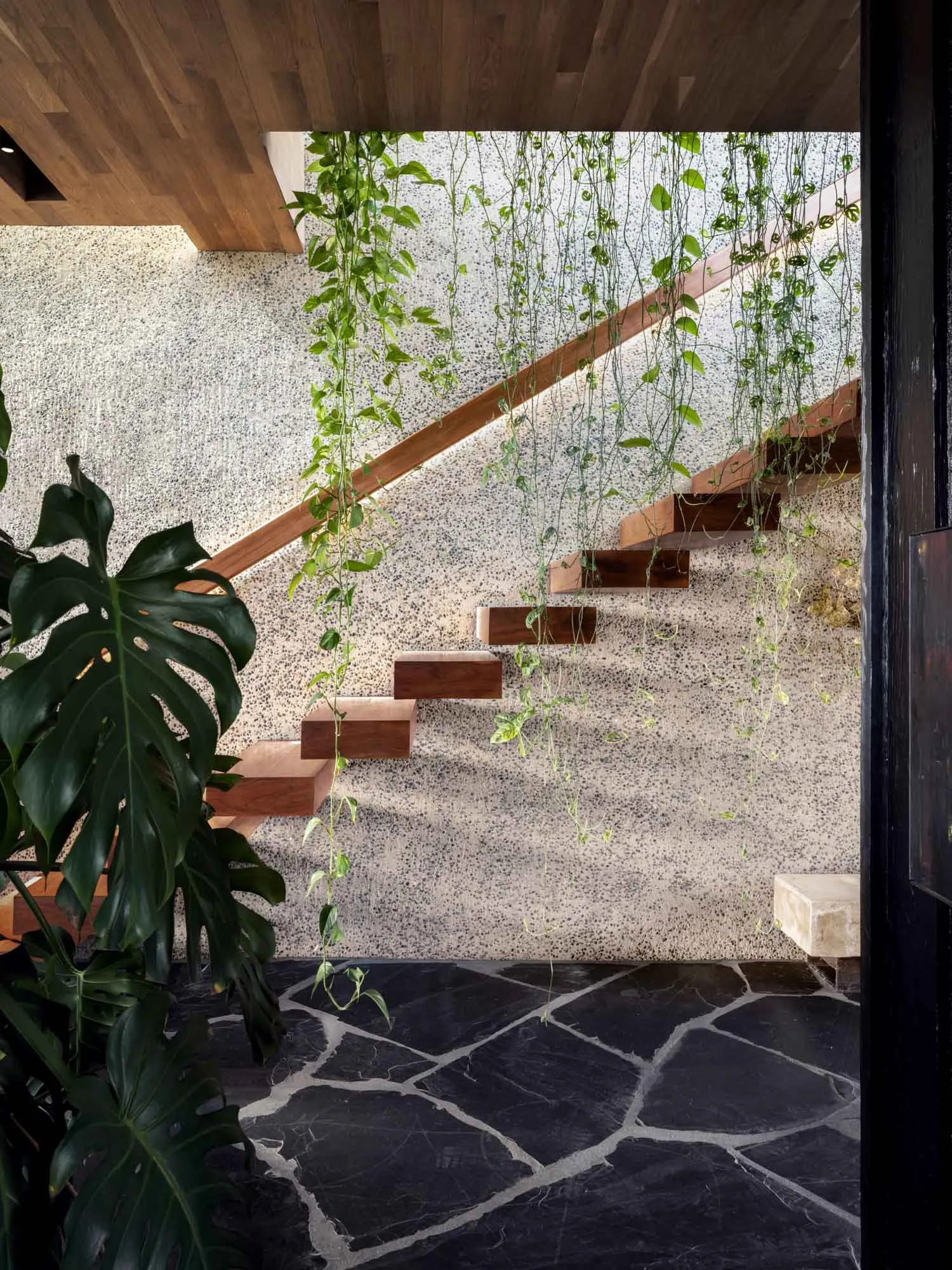 A modern entryway features floating wooden steps adorned with hanging green vines, creating a serene atmosphere with natural