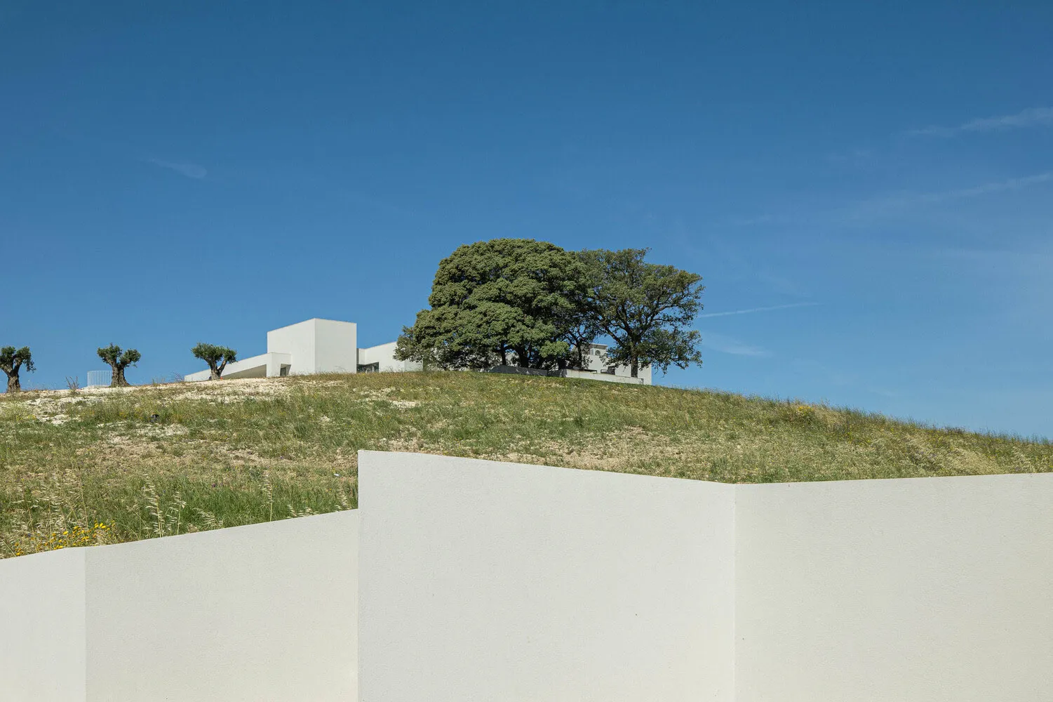 Modern building with concrete structure surrounded by greenery.