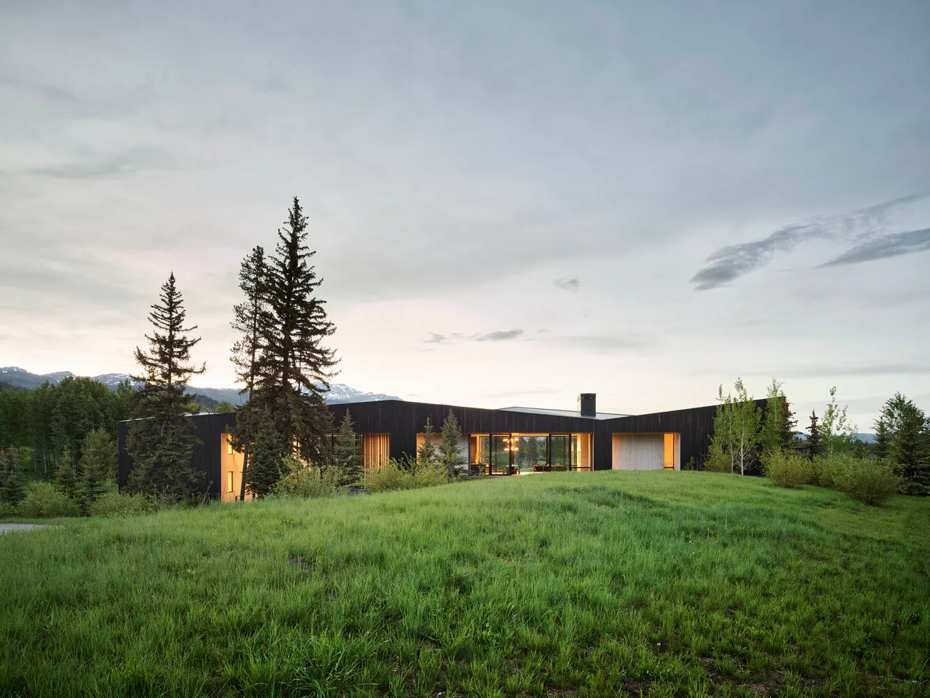 A modern exterior house with wooden siding situated on a grassy hill with trees and mountains in the background.