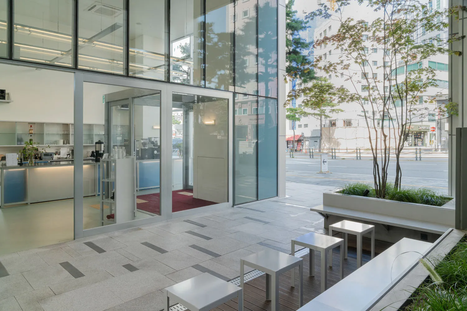A modern coffee shop with glass walls and a tree in a planter, situated on a city street.