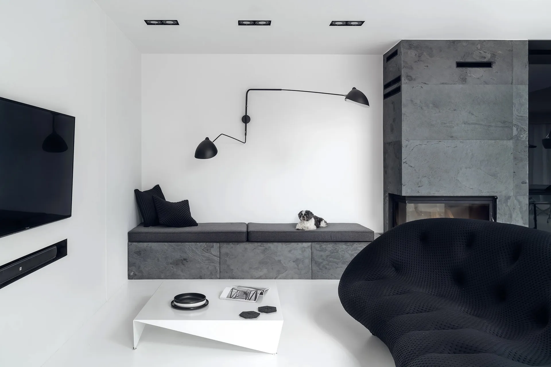 A minimalist living room featuring modern concrete and marble furnishings, a black and white dog resting on a cushioned bench