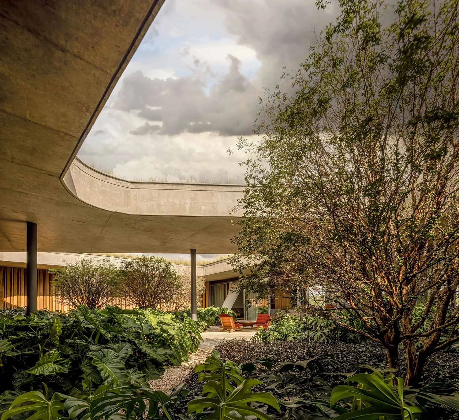 Modern concrete backyard featuring lush greenery and outdoor seating.