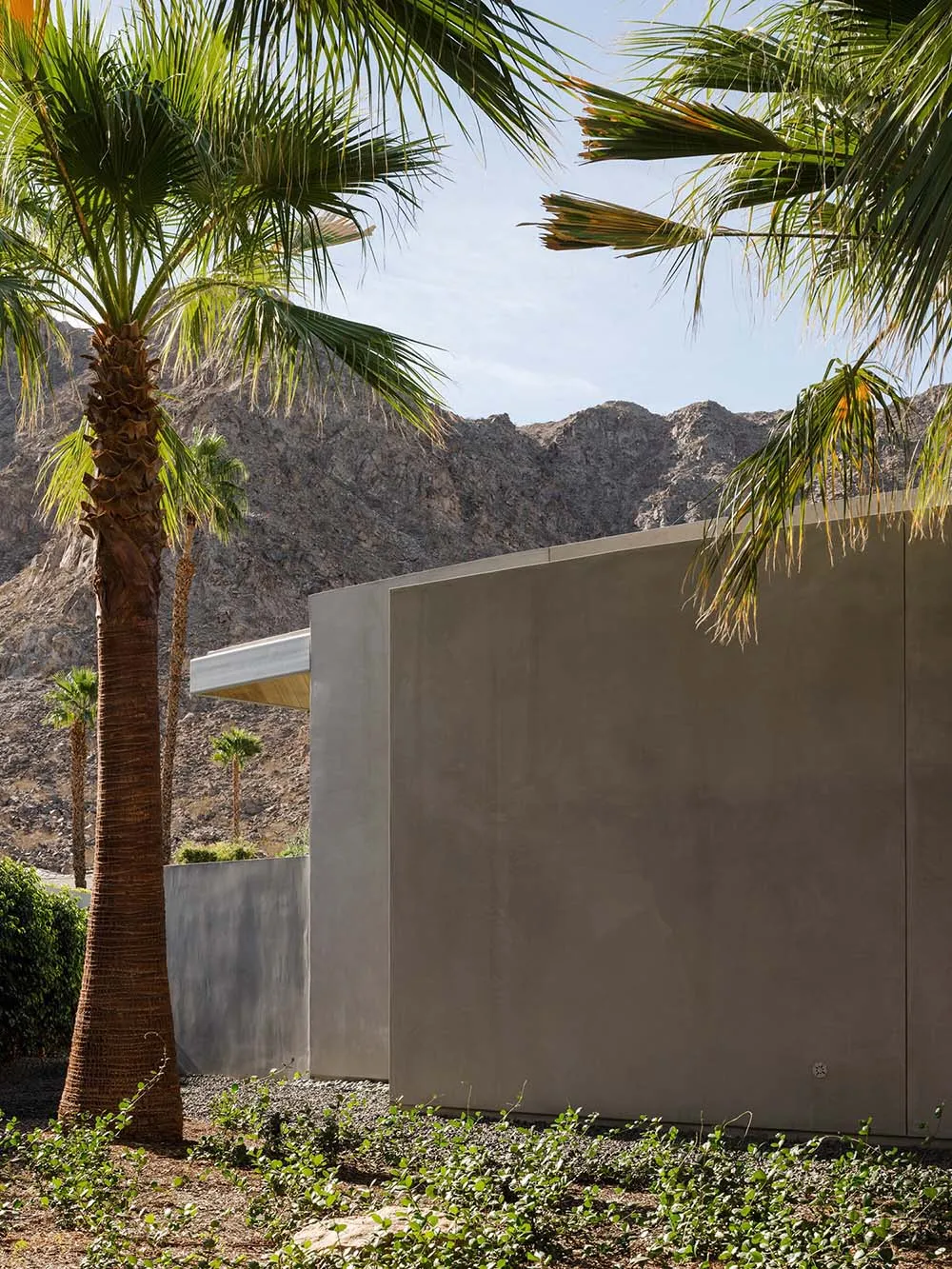 Modern house with concrete exterior and palm trees.