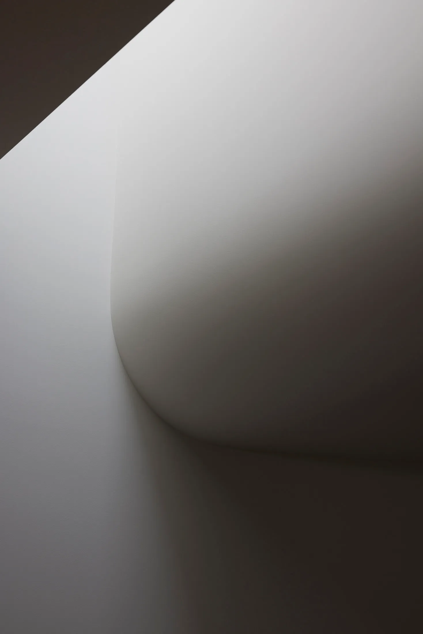 A minimalist architectural space featuring modern concrete walls and a smooth, curved ceiling.
