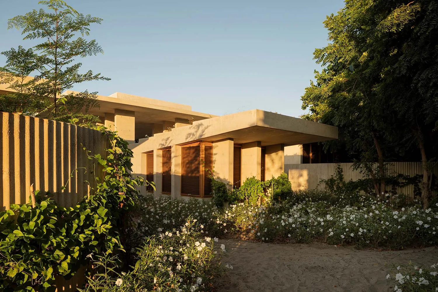 Modern house exterior with concrete walls and a flat roof, surrounded by greenery and flowers.