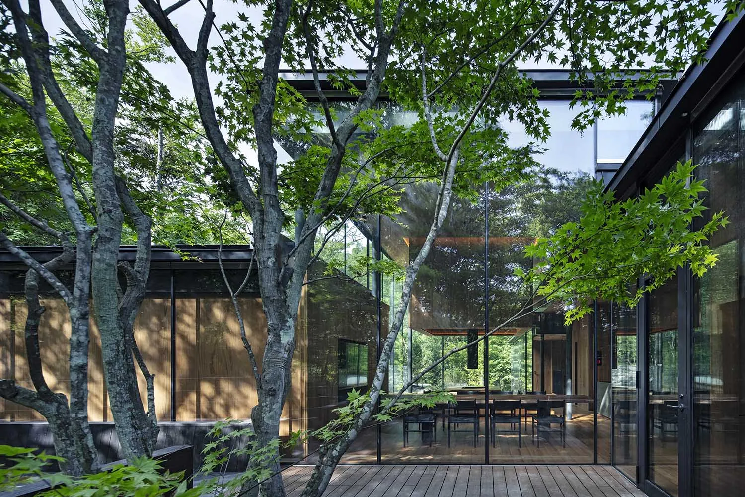 Modern residential architecture featuring glass walls and wooden interior