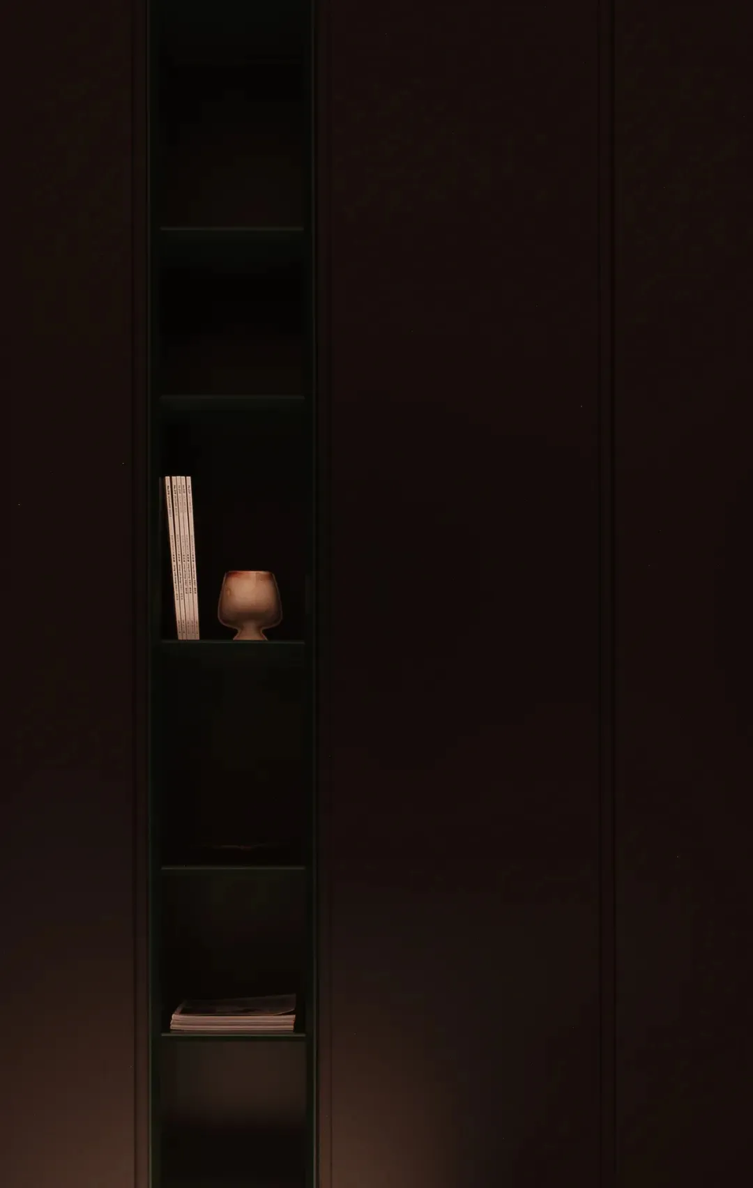 Modern, minimalist shelves made of wood, featuring a few books and decorative items.