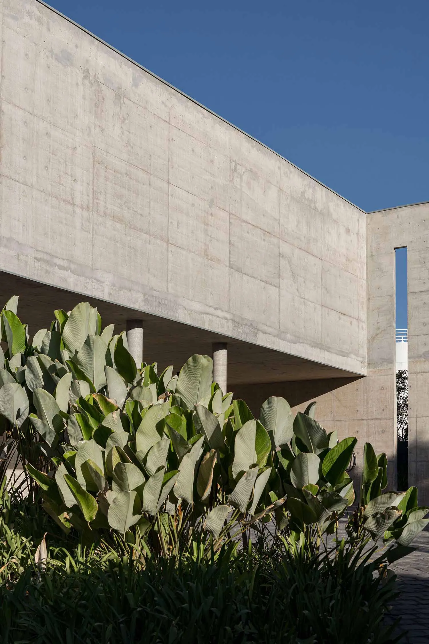 Modern building constructed from concrete, showcasing clean lines and minimalist design