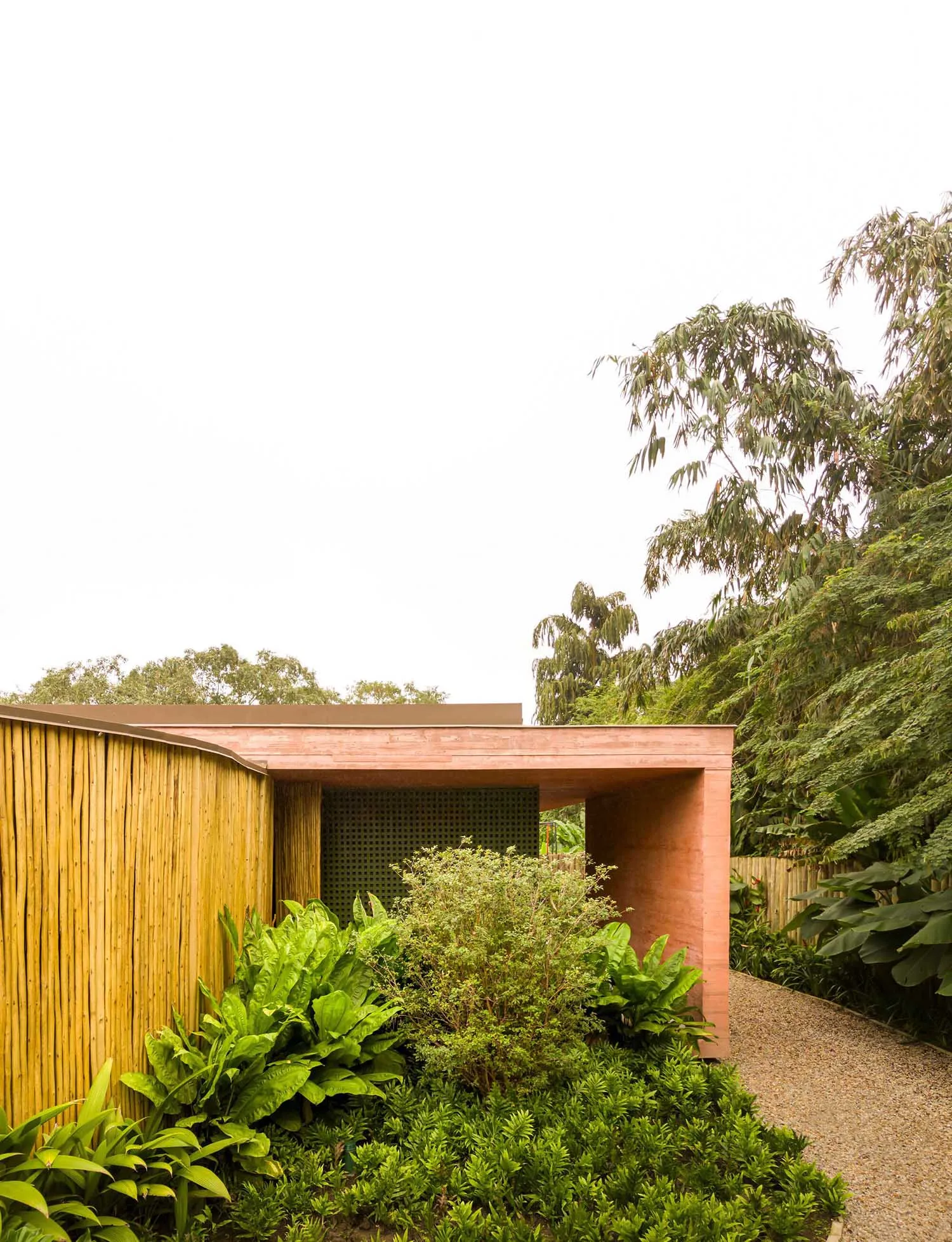 A modern exterior made of wood with a flat roof and lush greenery around it.