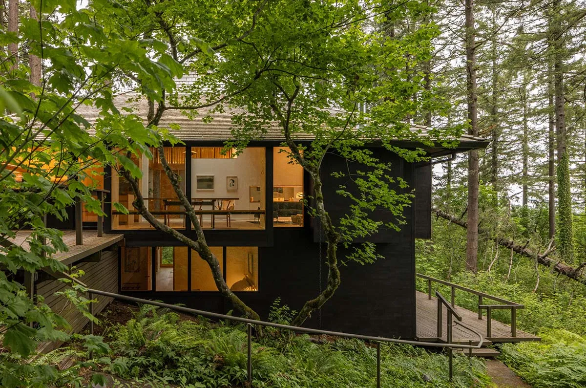A modern minimalist cabin with large glass windows and wooden exterior surrounded by lush greenery.