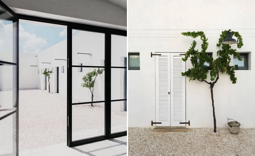 Modern exterior garden featuring white walls, concrete surfaces, and greenery.
