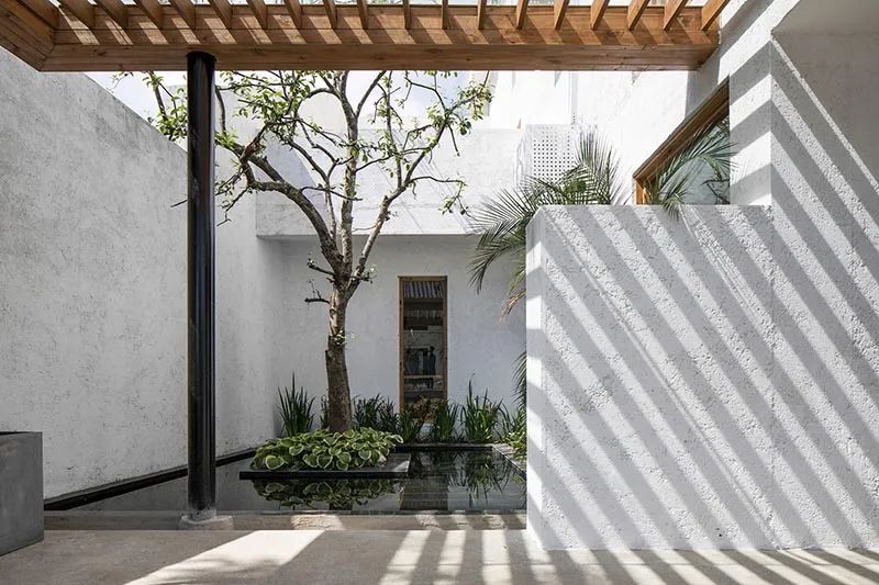 A minimalist interior design featuring concrete walls, a small tree, and a black table.
