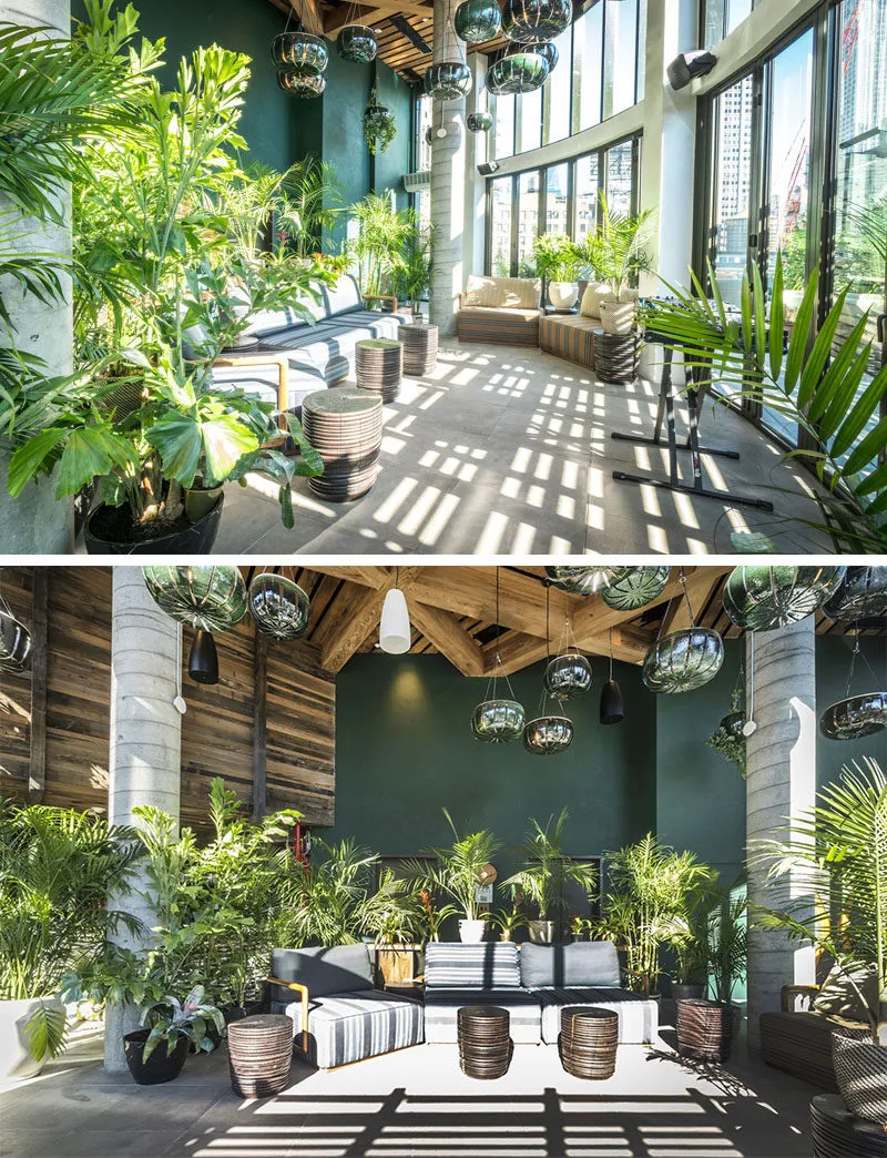 A modern interior space featuring green plants and concrete elements.
