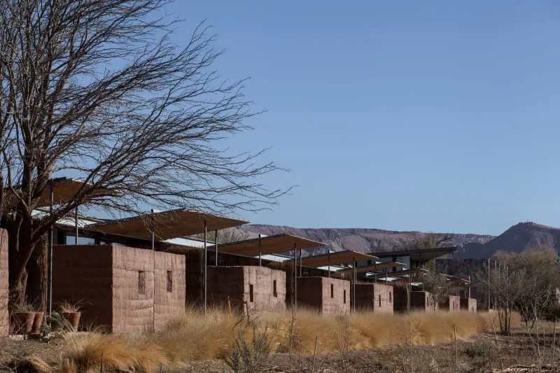 Modern residential exterior with clay tiles, featuring lush vegetation and a tree.