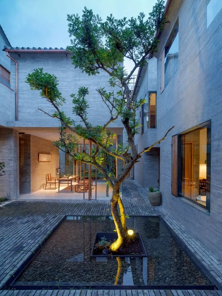 A minimalist residential interior with a concrete floor and a tree planted in a courtyard with water.