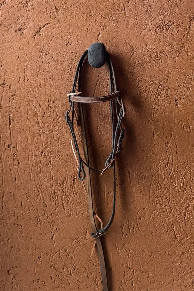A hanging horse tack displayed against a textured brown wall