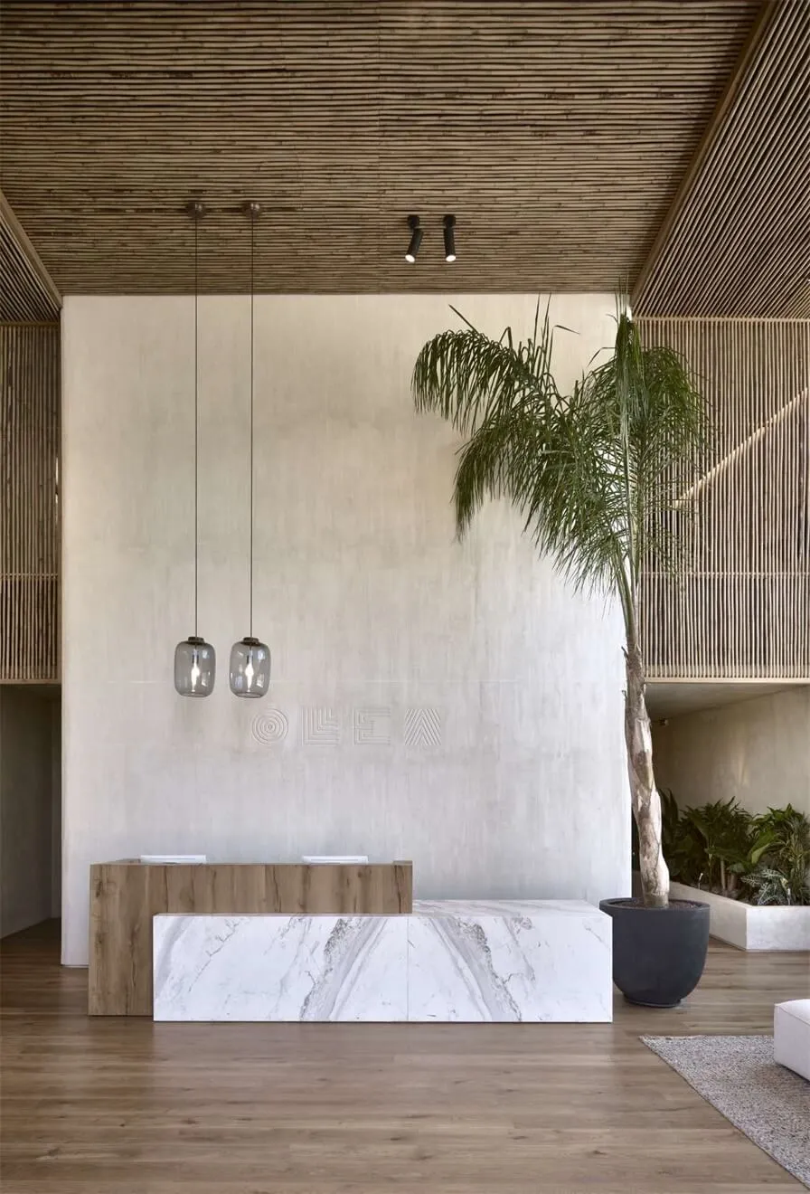 Modern lobby with marble and concrete finishes, featuring a tall palm tree and minimalist design.