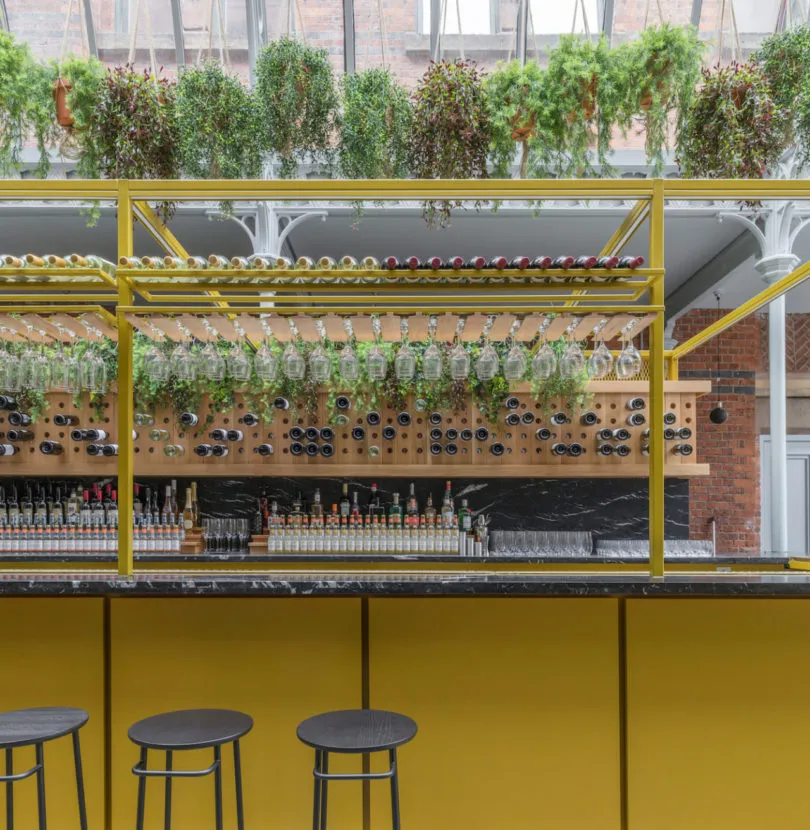 餐廳吧台設有黃色金屬層架、綠色植栽,以及各式瓶罐與玻璃杯。