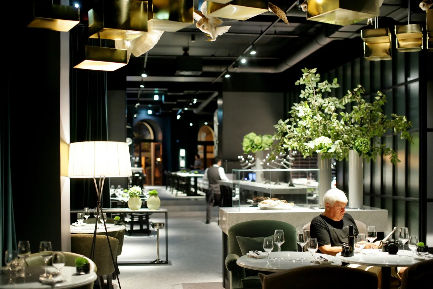 A modern cafe with metallic lighting, glass elements, and green plants.