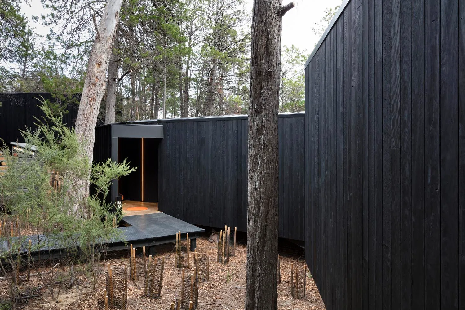 Black wooden house with a minimalist design surrounded by trees in a forest.