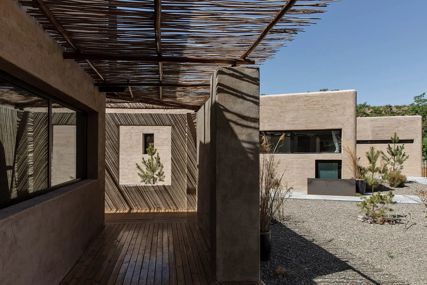 Modern house featuring concrete exteriors, wooden pergola, and landscaped courtyard.