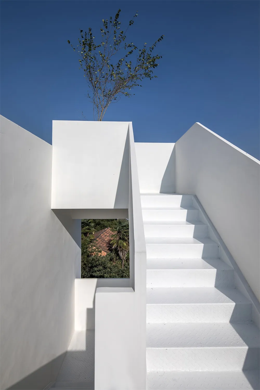 A minimalist concrete staircase with white railings and a tree on top.