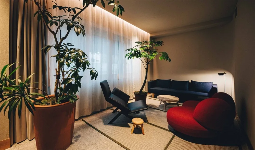 簡約風格客廳,搭配木質家具與植栽。