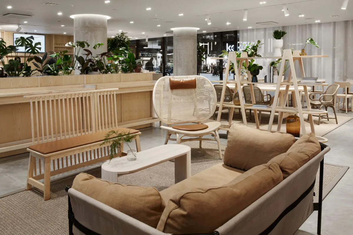 A modern lobby featuring wooden furniture, concrete walls, and various indoor plants, creating a welcoming atmosphere.