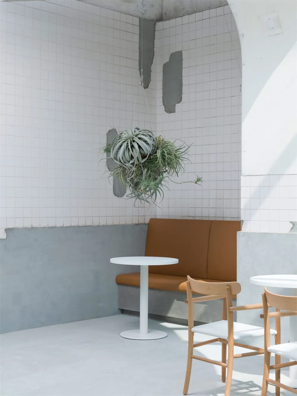 A modern cafe with a white tile interior, featuring a hanging plant and wooden chairs.