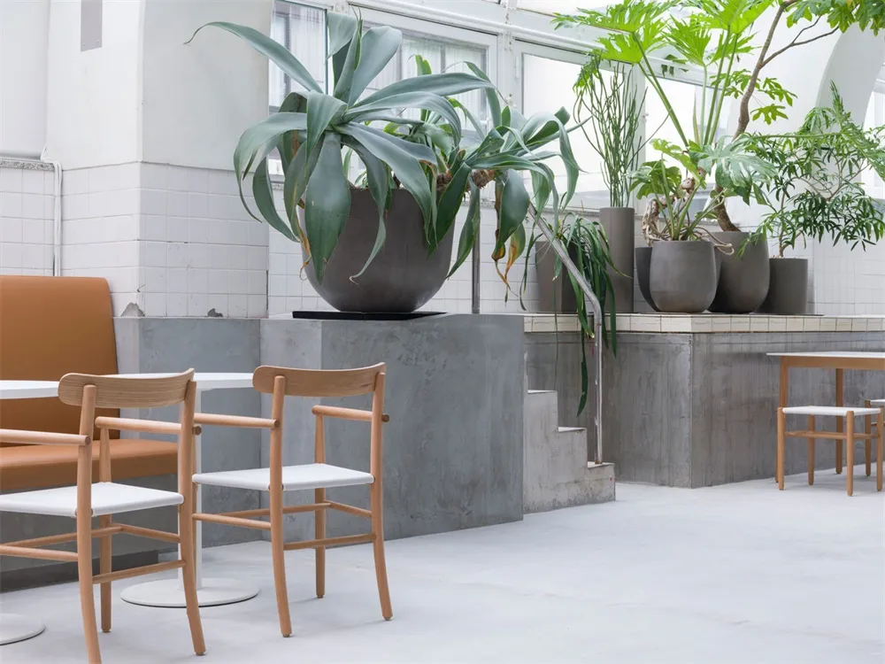 Modern industrial cafe interior with concrete furniture, flowers, and greenery.