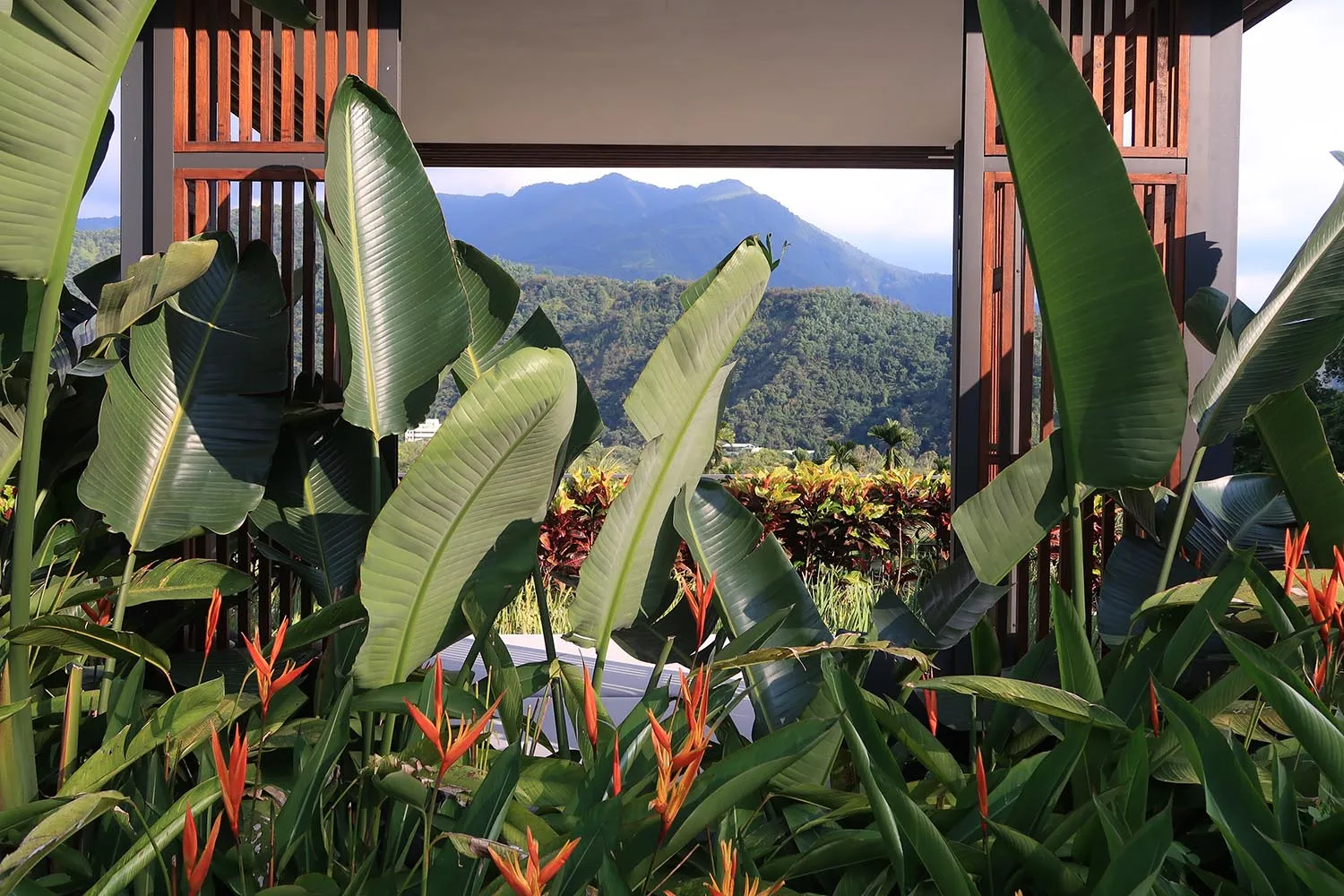 Green tropical plants and flowers with mountains in the background.