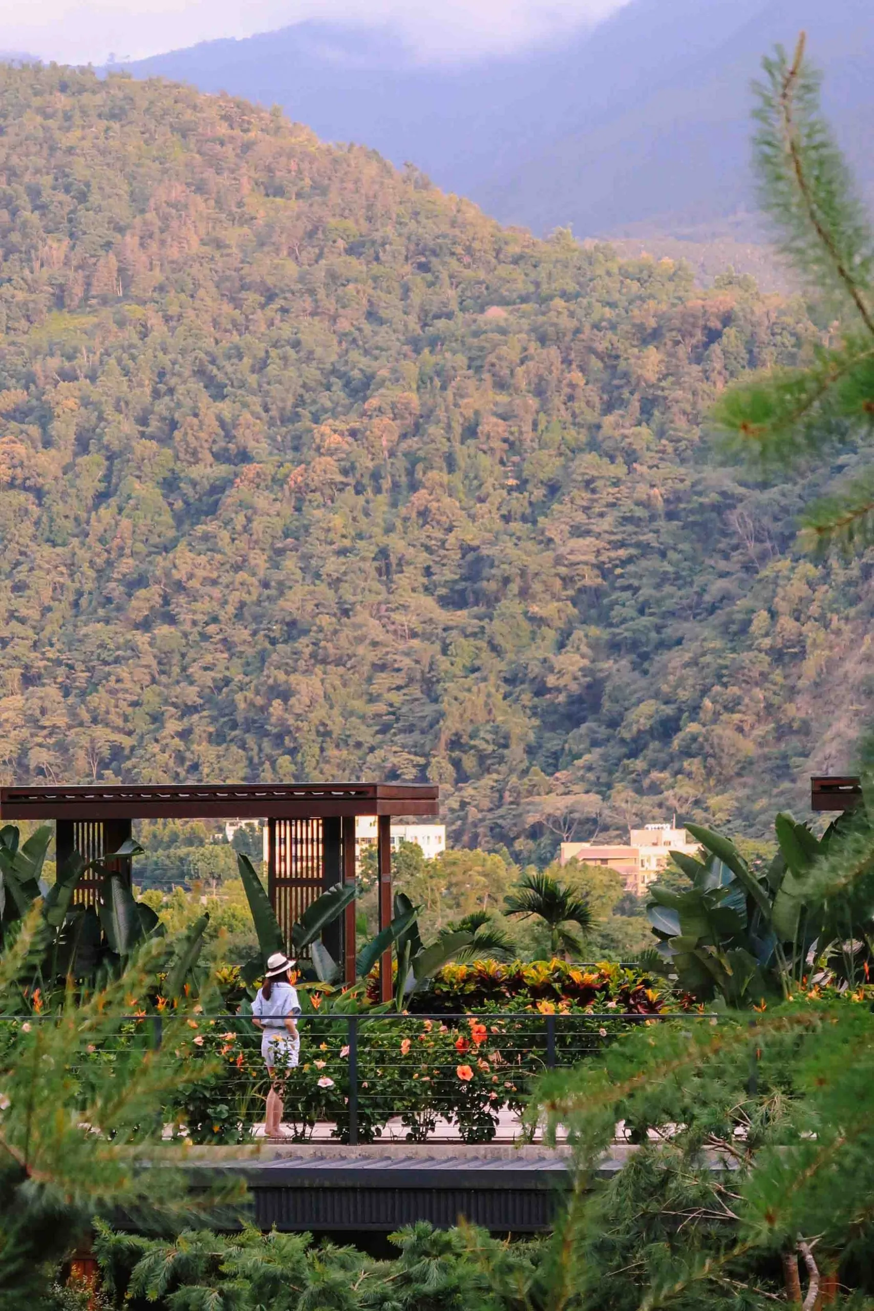 A person standing on a concrete path surrounded by lush green plants with a mountain range in the background.