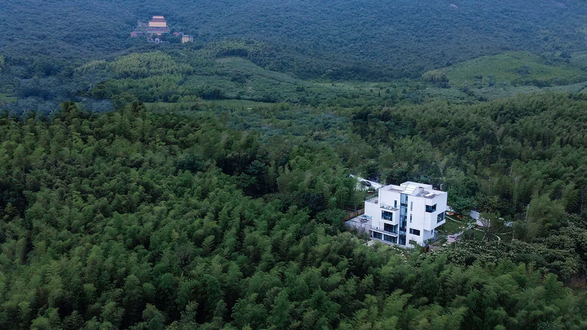 一座簡約的白色住宅被茂密的竹林環繞。