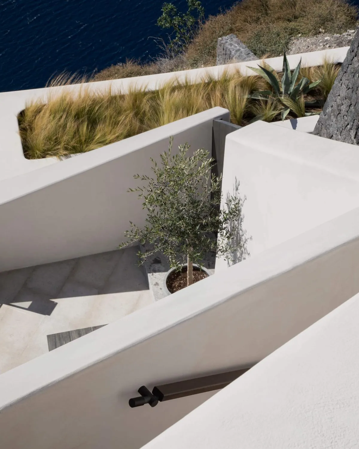 Modern, minimalist patio with concrete elements and a small potted olive tree.