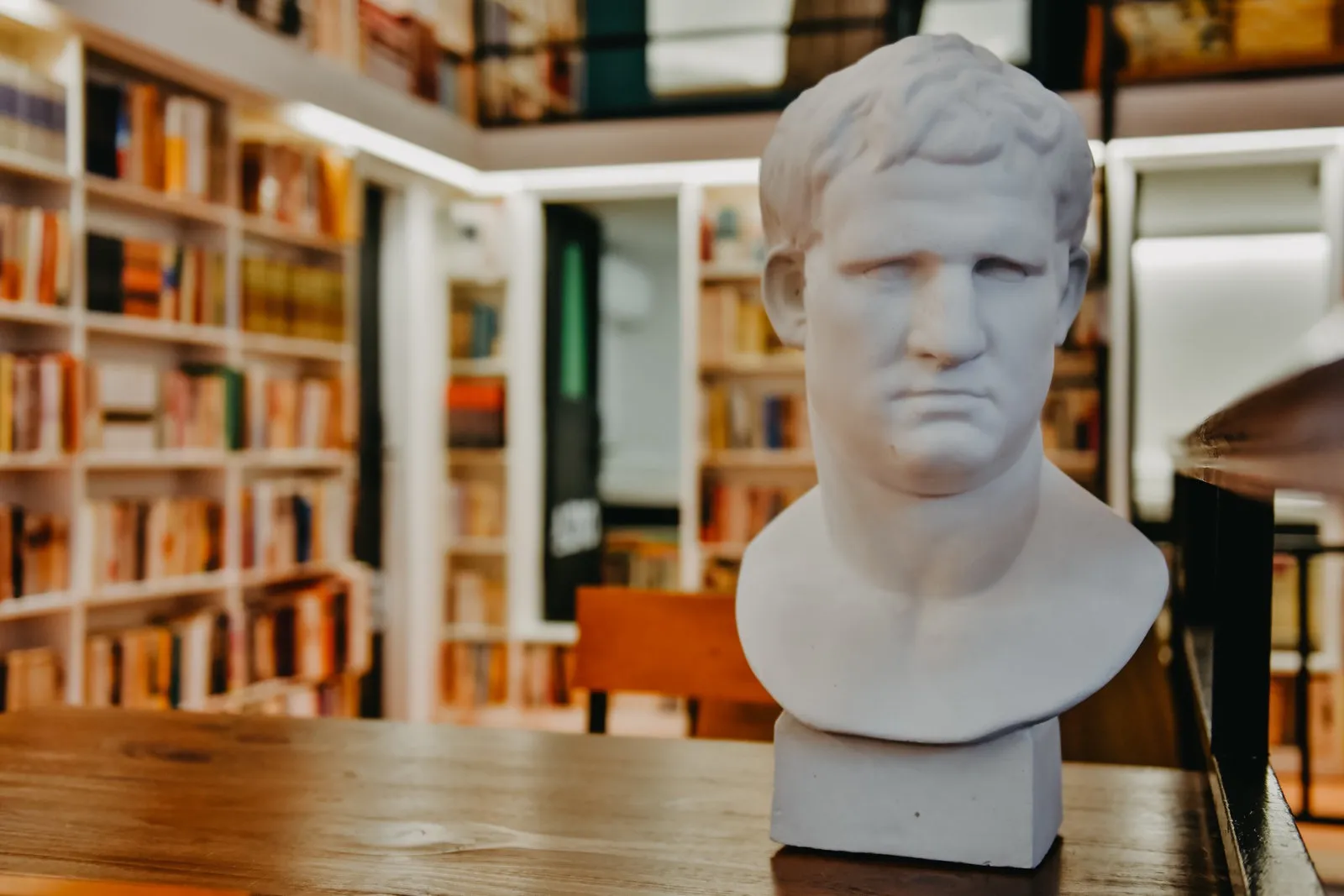 Marble bust statue in a library setting
