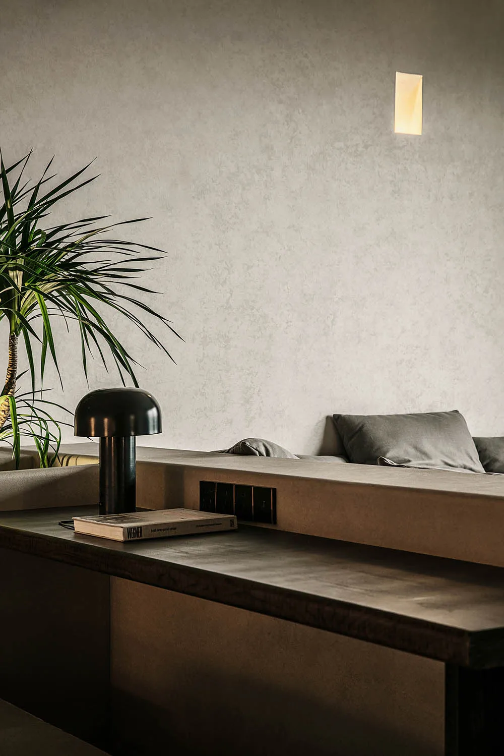 Minimalist living room with concrete furniture and a potted plant.