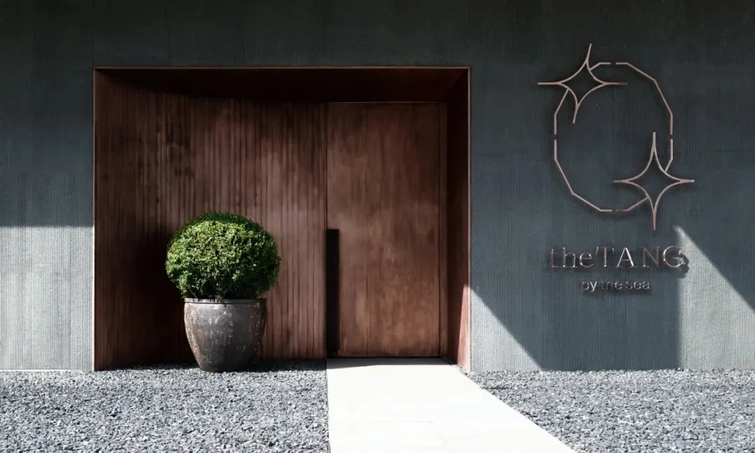 A minimalist entrance with a wooden door and concrete corner, featuring a potted plant.
