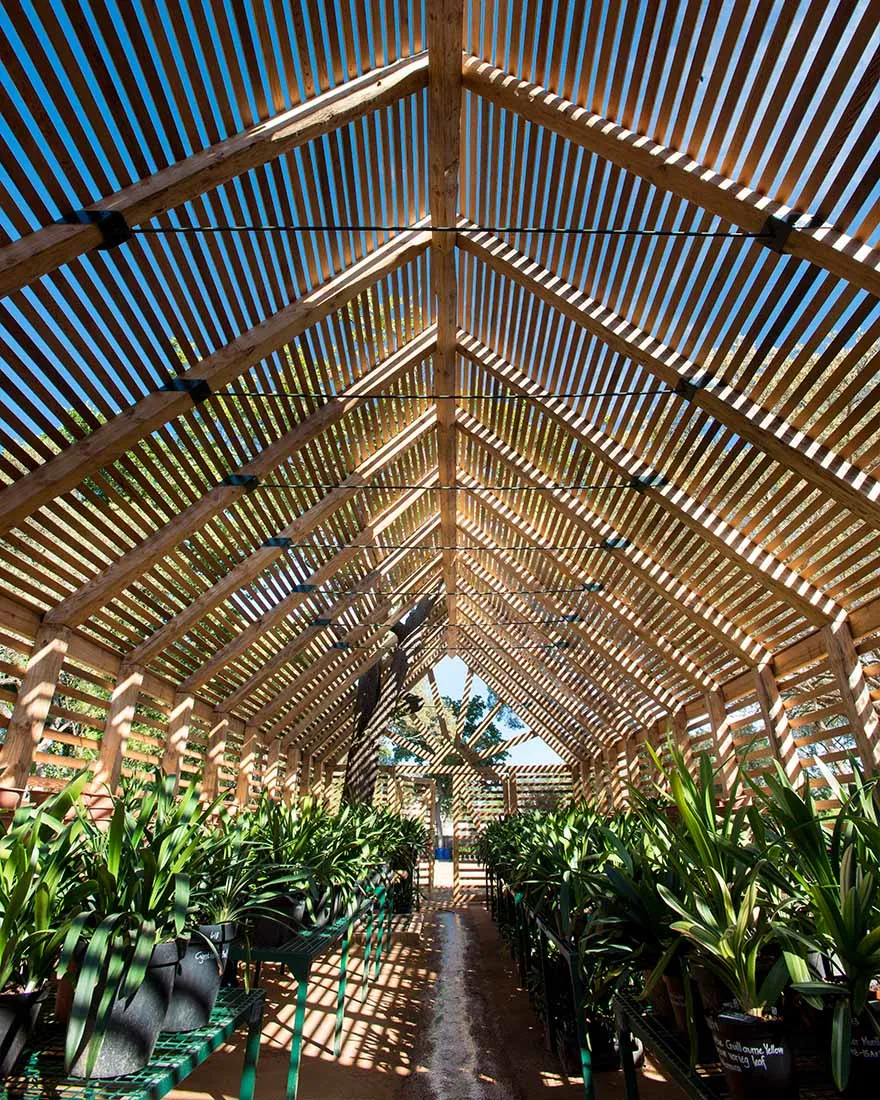 A greenhouse with a wooden lattice roof and open sides, allowing sunlight to filter in.