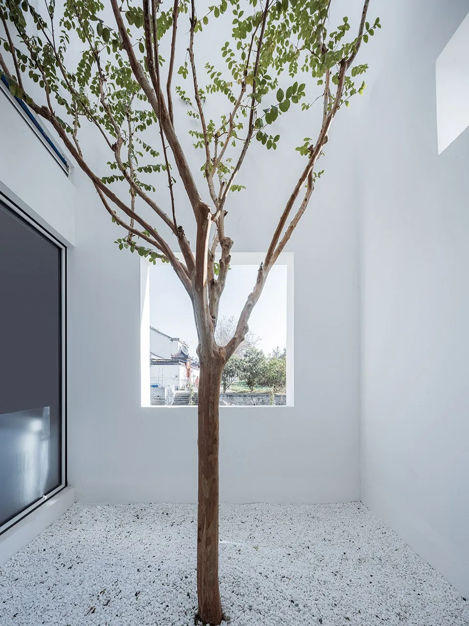 A minimalist interior space featuring concrete walls and flooring, with a central tree planted in a gravel bed.