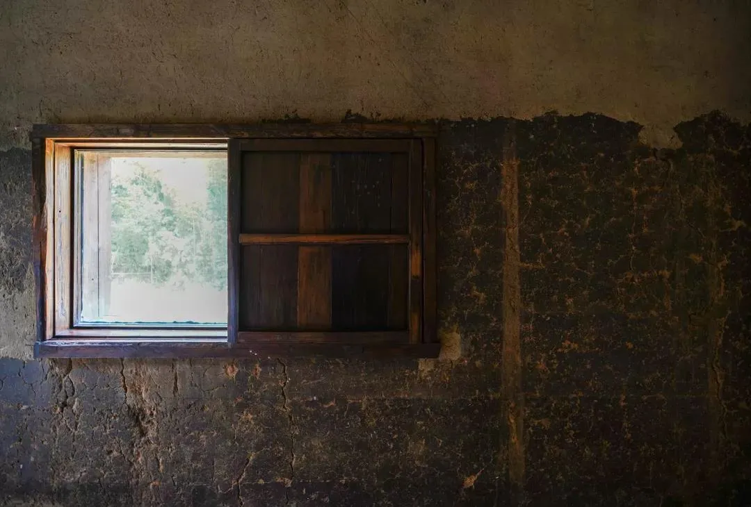 An old, wooden window with a view of greenery outside, set in a cracked, rustic wall.