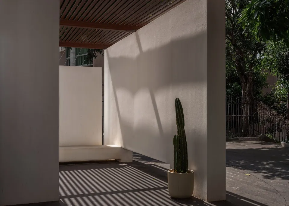 A minimalist interior space featuring a concrete wall and floor, with a tall cactus plant in a pot.