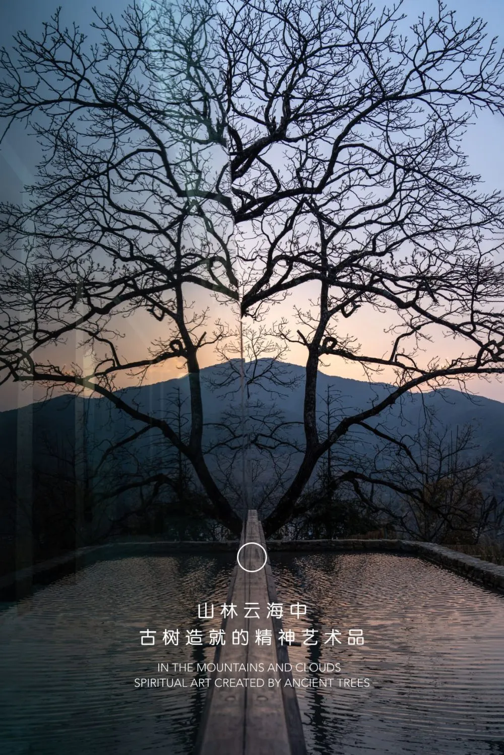 Trees with bare branches reflected in a calm water body with mountains in the background
