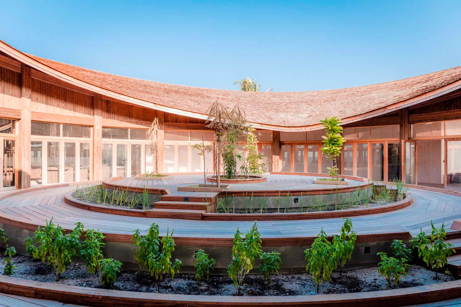 Round courtyard with wooden deck and greenery, glass walls and roof, and circular seating area.
