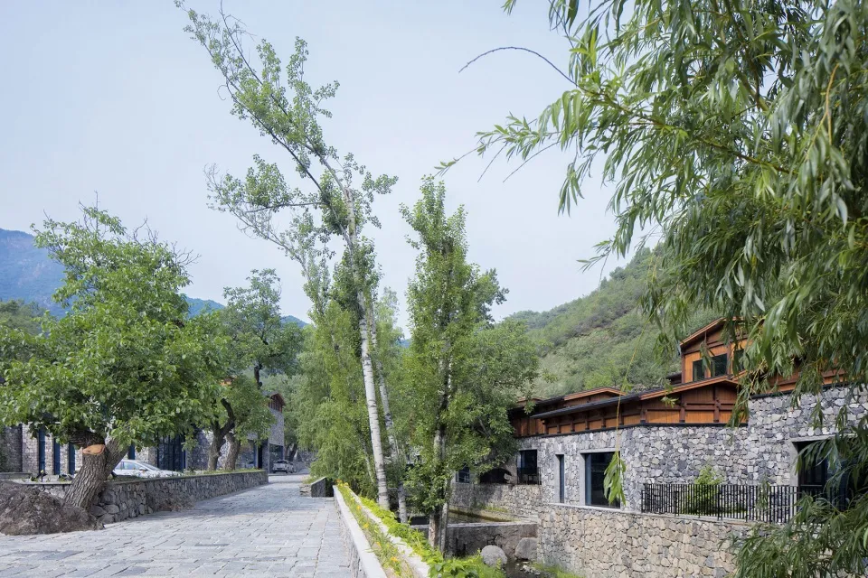 一條石板小徑兩旁種滿樹木,建築物與自然環境完美融合